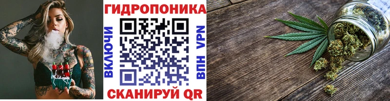 Купить закладку Канабис  Меф  СК  ГАШИШ  Сясьстрой