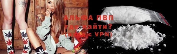 PSILOCYBIN Лиски
