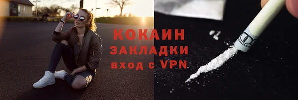 PSILOCYBIN Лиски